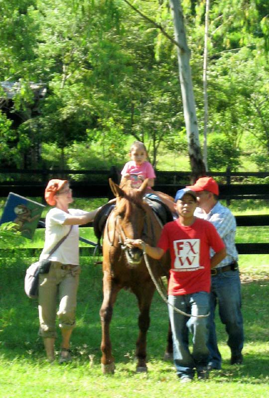 Beth puts her physical therapy skills to work at horseback therapy.